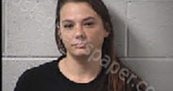 SHELTON, ASHLEY BRIANA | 2024-11-05 18:12:00 Transylvania County, North Carolina Booking