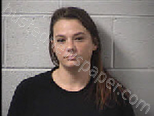 SHELTON, ASHLEY BRIANA #, Transylvania County, North Carolina - 2024-11-05 18:12:00