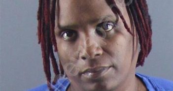 <B>JOHNSON</B>, <B>KIMBERLY</B> YVETTE #, Peoria County, Illinois - 2024-11-05