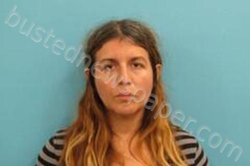 ROSE MARIE VILLA MICHEL #, Kendall County, Texas - 2024-11-06 00:58:00