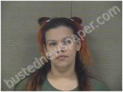 DAVIS, ROSA | 2024-11-06 Harnett County, North Carolina Booking