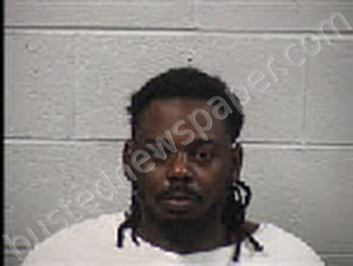 MCMINN, STEFAN DOUGLAS #, Transylvania County, North Carolina - 2024-11-06 09:40:00