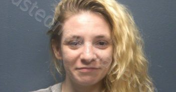 <B>MORRIS</B>, <B>TASHA</B> K #, Sevier County, Tennessee - 2024-11-06 09:28:00