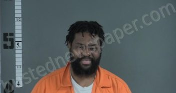 GIBSON, BRANDON THEOPHILUS | 2024-11-06 14:17:00 Western Tidewater, Virginia Booking