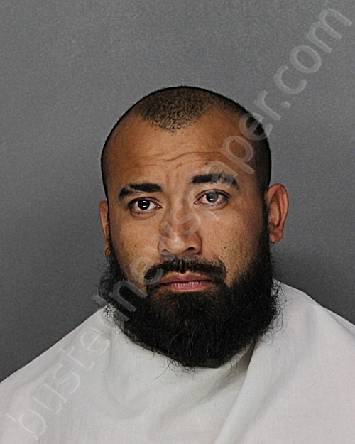 MIJANGO ZAVALA, MIGUEL ANGEL #, Ellis County, Texas - 2024-11-06 14:40:56