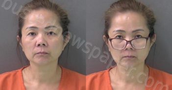TRINH, MY LE THI | 2024-11-07 11:30:00 Bell County, Texas Booking