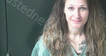 VOGEL, <B>ASHLEY</B> <B>MICHELLE</B> #, <b>Brown</b> County, Ohio, Brown County, Ohio - 2024-11-07 09:25:00