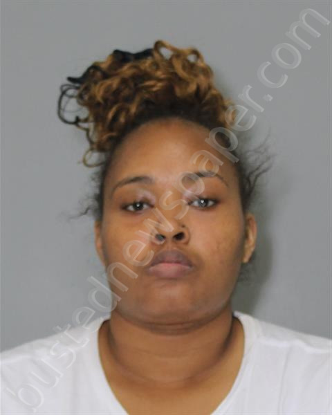 YOUNG, JANAE DYANI #, Riverside Regional Jail, Virginia - 2024-11-07