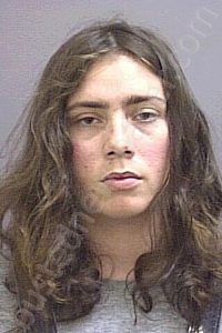 GIBSON, AMANDA DIANNE | 2024-11-07 Danville PD, Virginia Booking