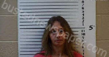 HUGHES, MENDY ROGERS | 2024-11-07 14:18:00 Cherokee County, North Carolina Booking
