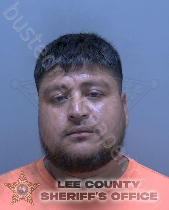 PEREZ PELAYO, RODOLFO GIOVANNI #, Lee County, Florida - 2024-11-07 00:22:00