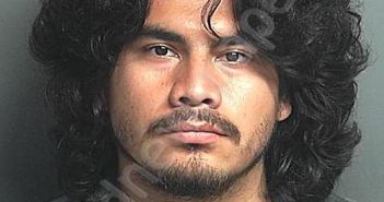 MEJIA FLORES, ALAN URIEL | 2024-11-08 18:24:00 Montgomery County, Texas Booking