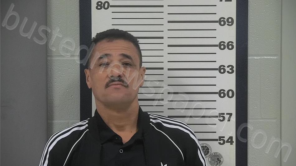SEVILLA-DIAZ, TEODORO #, Platte County, Missouri - 2024-11-08 03:11:00