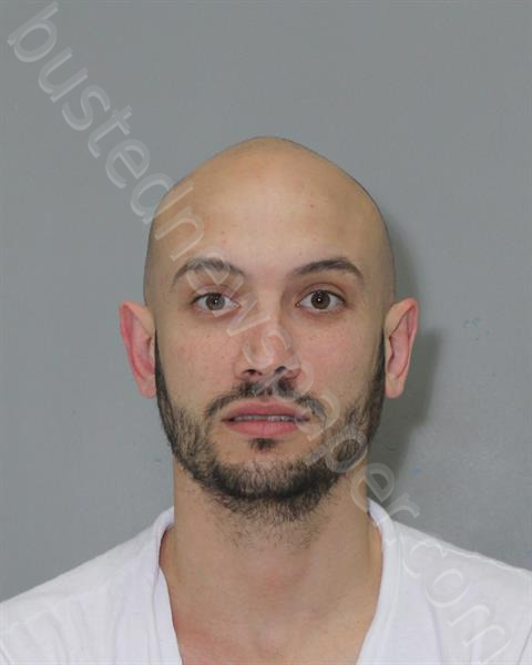 ANDERSON, DYLAN SCOTT #, Riverside Regional Jail, Virginia - 2024-11-08