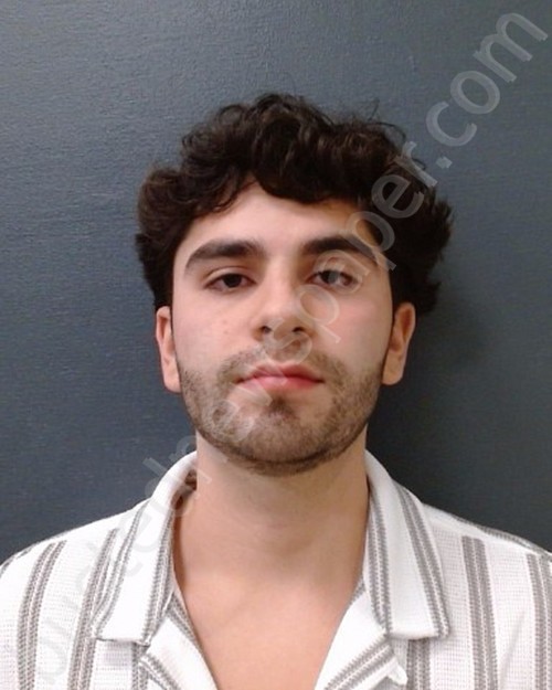 LOZANO REYES, CARLOS ADRIAN #, Comal County, Texas - 2024-11-08