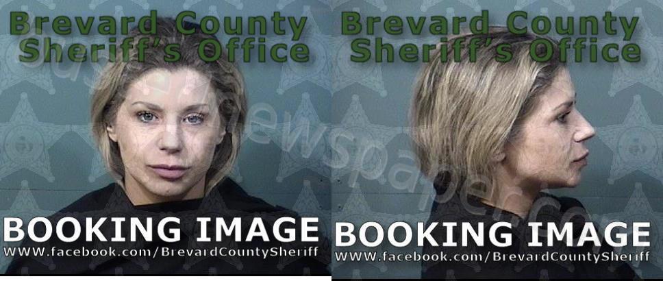 WILLIAMS, AMBER LYNN #, Brevard County, Florida - 2024-11-08 04:00:00
