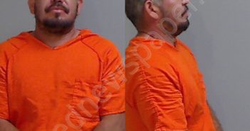 <B>GARZA</B>, <B>DANIEL</B> EDUARDO #, Hidalgo County, Texas - 2024-11-08