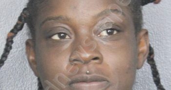 <B>WHITE</B>, <B>DAWN</B> AMINA #, Broward County, Florida - 2024-11-08