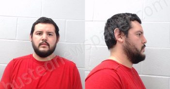 <B>HERNANDEZ</B>, <B>RICARDO</B>, <B>JR</B>. #, Hays County, Texas - 2024-11-08