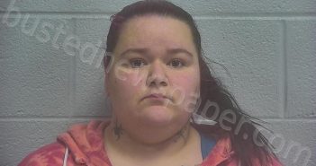 <B>MCADAMS</B>, <B>MADISON</B> <B>NICOLE</B> #, Marshall County, Tennessee - 2024-11-08 19:54:00
