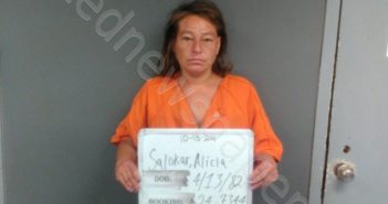 <B>SALOKAR</B>, <B>ALICIA</B> <B>IVY</B> #, Sebastian County, Arkansas - 2024-11-09 18:31:00