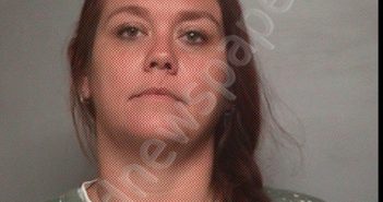 GOODWIN, CHRISSIE ELAINE | 2024-11-09 Polk County, Florida Booking