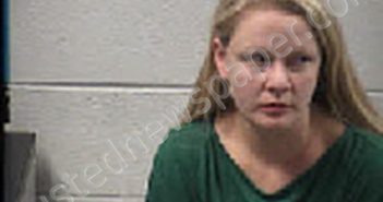 MITCHELL, EMILY GREYARD | 2024-11-09 03:00:00 Transylvania County, North Carolina Booking