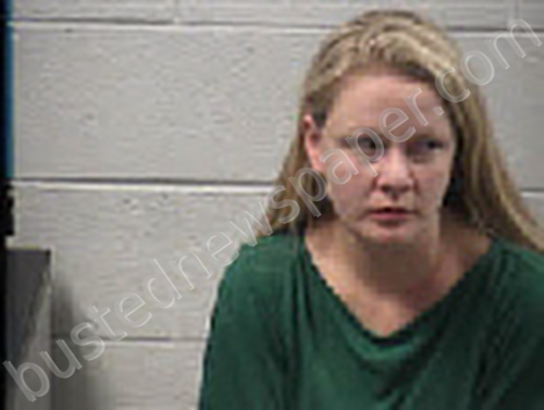 MITCHELL, EMILY GREYARD #, Transylvania County, North Carolina - 2024-11-09 03:00:00