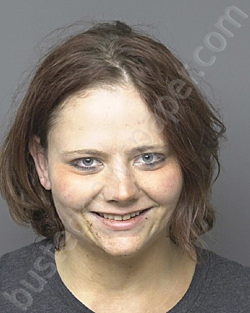 ADAMS, MICHELLE VICTORIA #, Dubuque County, Iowa - 2024-11-09 05:57:00