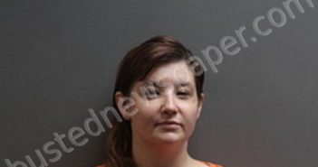 DESTINY ANN NICOLE FIRESTINE | 2024-11-09 22:20:00 Labette County, Kansas Booking