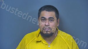 HERNANDEZ, JR IGNACIO | 2024-11-09 19:03:00 Desoto County, Mississippi, DeSoto County, Mississippi Booking