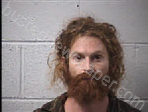 HARRIS, SEAN GREGORY #, Transylvania County, North Carolina - 2024-11-09 13:12:00