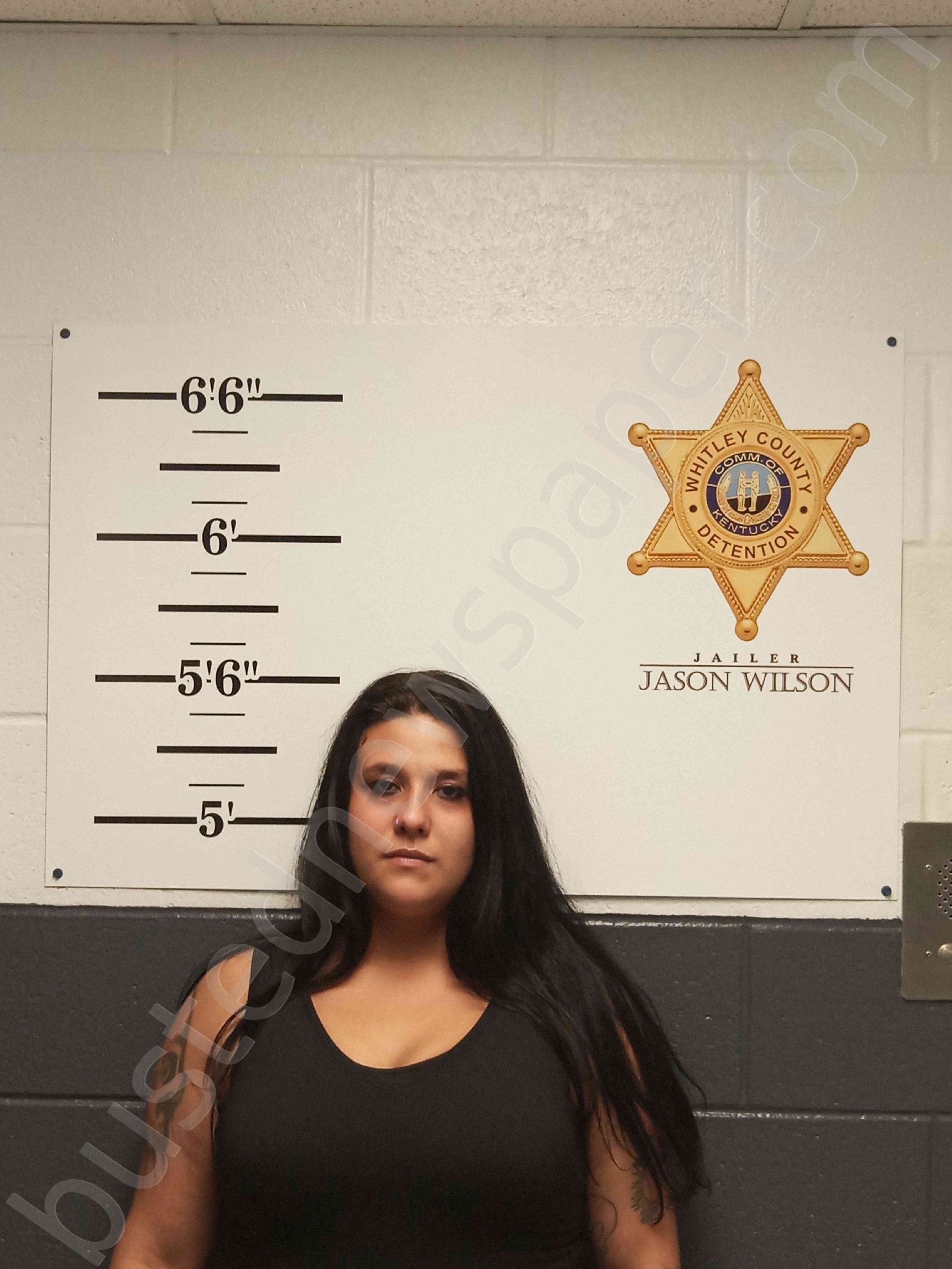 Whitley County Ky Busted Newspaper - cye1ynr
