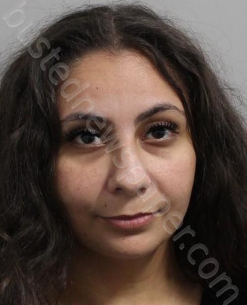 RABEE, RONYA MOHAMMED #, Polk County, Florida - 2024-11-09