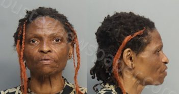 DILLARD, ESTELLE RENEE | 2024-11-10 08:31:00 Miami-Dade County, Florida Booking