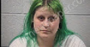 <B>BOLDIN</B>, <B>ALYSSA</B> <B>MARIE</B> #, Transylvania County, North Carolina - 2024-11-10 13:15:00