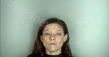 <B>BROWN</B>, <B>NATASHA</B> CAMPBELL #, Greenwood County, South Carolina - 2024-11-10 02:36:00