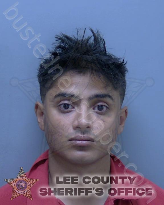 PATEL, DEVAN T #, Lee County, Florida - 2024-11-10 15:45:00