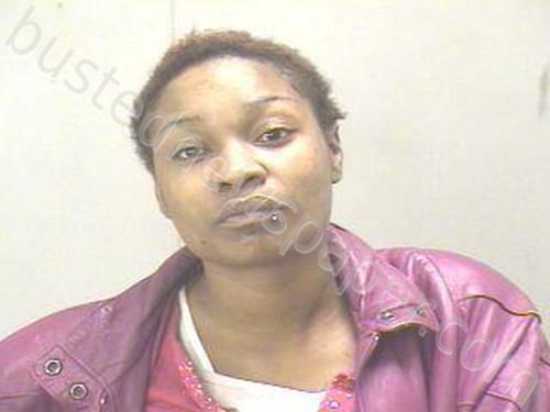 BURNS, SHANTELLIE #, Dallas County, Texas - 2024-11-10 01:09:00