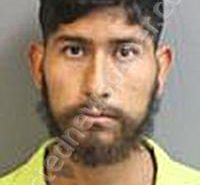 HERNANDEZ, LUIS ALBERTO LEDESMA | 2024-11-10 Kershaw County, South Carolina Booking