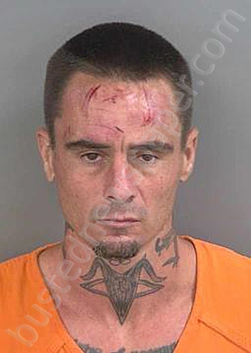 WHITE,SHELBY DANIEL #, Collier County, Florida - 2024-11-10
