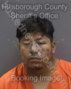 HERNANDEZ GARCIA,LUIS ALBERTO | 2024-11-10 22:14:00 Hillsborough County, Florida Booking