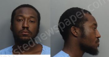 TANNER, JAYMES MACIAN | 2024-11-10 08:23:00 Miami-Dade County, Florida Booking