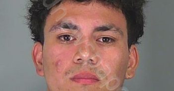 JORGE NOEL VALDERRAMOS CRUZ | 2024-11-11 21:59:44 Spartanburg County, South Carolina Booking