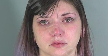KERSTIN ELIZABETH ROBINSON | 2024-11-11 18:46:59 Spartanburg County, South Carolina Booking