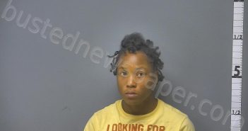 WALKER, DEANDREA LOVE | 2024-11-11 16:18:00 Middle River, Virginia Booking