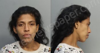 SILVA, GUANQUIRI | 2024-11-11 17:27:00 Miami-Dade County, Florida Booking