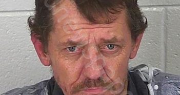 JEREMY LEVENE BRANNON | 2024-11-11 04:16:03 Spartanburg County, South Carolina Booking
