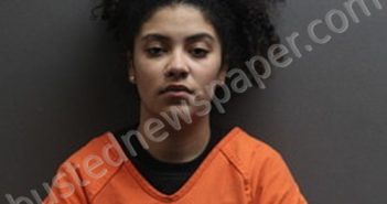 MAKENZIE JOHNSON JOHNSON | 2024-11-11 Labette County, Kansas Booking
