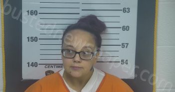 MORRIS, TONIA MARIE | 2024-11-11 08:32:00 Ottawa County, Ohio Booking